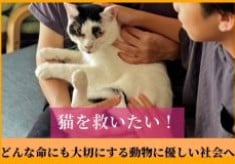 猫を救いたい！　あたたかい家族をみつけ 目の前の命と向き合う優しい社会へ