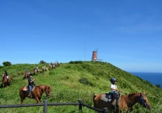 【10月3日10時～受付開始】馬✕絶景を守りたい！宗像「大島」景観保全プロジェクト