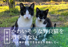 【第３弾】かわいそうな野良猫を増やさない～人と猫が共生できるまちを目指して～