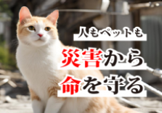 災害時の動物救援の未来を切り拓く、全国規模のペット減災協働訓練の実現を