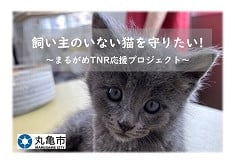 飼い主のいない猫を守りたい！　まるがめTNR応援プロジェクト