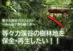  第２弾【等々力渓谷プロジェクト】等々力渓谷の樹林地を保全・再生したい！！