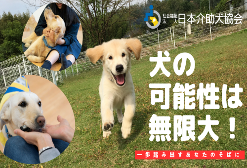 日本 介助 犬 協会 グッズ 人気