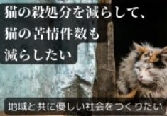 猫のかけがえのない命を救うことで 地域とともに優しい社会をつくりたい