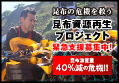 雑海藻から海を守り、日本の食文化である昆布の漁場を再生させる緊急プロジェクト