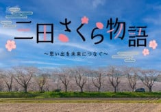 三田で見られる桜を守り続けたい！三田さくら物語プロジェクト