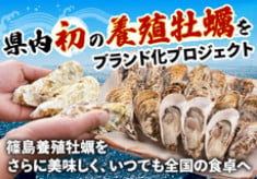 篠島（しのじま）発、エグみのない旨味たっぷりの「朋輩牡蠣」で島を再生！