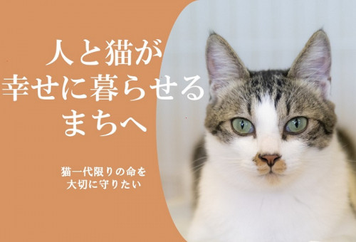 第5弾】人と猫が幸せに暮らせるまちづくりのために｜猫 の一代限りの命を大切に守りたい｜｜ふるさと納税のガバメントクラウドファンディングは「ふるさとチョイス」