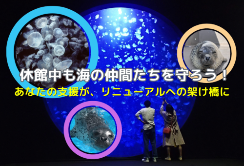 加茂水族館リニューアル！休館中の生き物たちの暮らしを支えたい！【ツナグ∞かもすい応援プロジェクト】  ｜ふるさと納税のガバメントクラウドファンディングは「ふるさとチョイス」