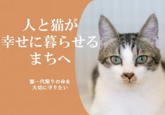 【第5弾】人と猫が幸せに暮らせるまちづくりのために｜猫の一代限りの命を大切に守りたい｜