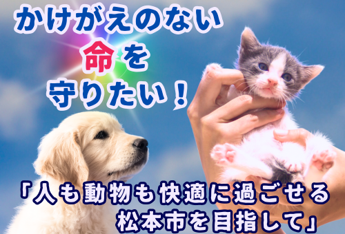 かけがえのない命を守りたい！ 「人も動物も快適に過ごせる松本市を目指して」｜ふるさと納税のガバメントクラウドファンディングは「ふるさとチョイス」