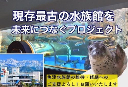 古くてボロいが日本一 ！日本で最も歴史の長い水族館『魚津水族館』を次世代へつなぎたい！｜ふるさと納税のガバメントクラウドファンディングは「ふるさとチョイス」