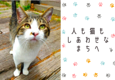 人も猫も幸せなまちとなるように。地域猫活動を支援したい🐱