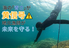 若狭の海の「青さ」を未来の子供たちに！ 地元漁師と海産資源の活用と保全プロジェクト