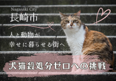 【長崎市】犬猫殺処分ゼロへの挑戦｜人と動物が幸せに暮らせるまちへ