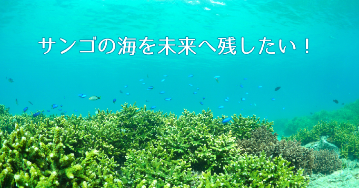 s_2a8b9f285d1084173fafa1254133