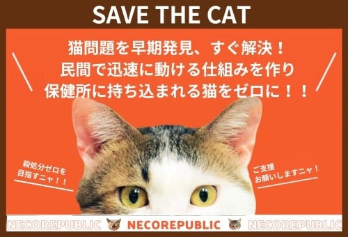 猫問題を早期発見、すぐ解決！民間で迅速に動ける仕組みを作り、保健所に持ち込まれる猫 をゼロに！！｜ふるさと納税のガバメントクラウドファンディングは「ふるさとチョイス」