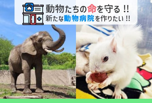 動物たちの命を守る新たな動物病院をつくりたい！  ―ZOOMOの飼育動物も！岩手の野生動物も！―｜ふるさと納税のガバメントクラウドファンディングは「ふるさとチョイス」