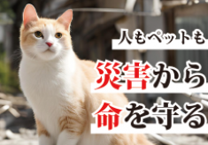 災害時の動物救援の未来を切り拓く、全国規模のペット減災協働訓練の実現を