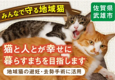 地域猫活動で猫と人とが幸せに暮らすまちを目指します！