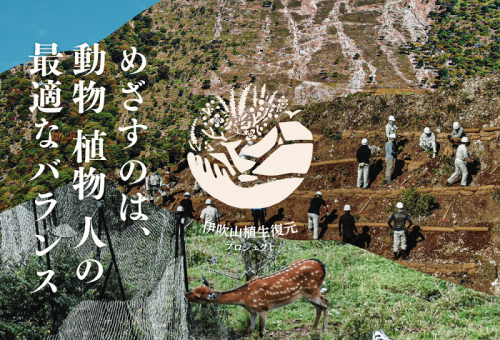 日本百名山・霊峰 伊吹山を未来へつなぎたい！【伊吹山植生復元プロジェクト】｜ふるさと納税のガバメントクラウドファンディングは「ふるさとチョイス」