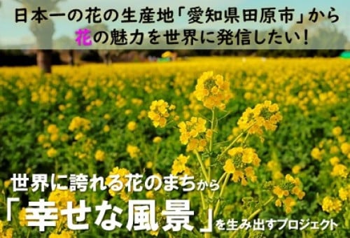 日本一の花の生産地「愛知県田原市」から、花の魅力を世界に発信したい！｜ふるさと納税のガバメントクラウドファンディングは「ふるさとチョイス」