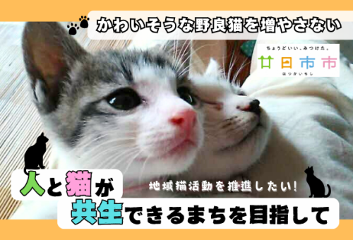 main_img