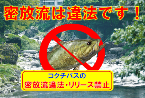 特定外来生物「コクチバス」の密放流を防ぐ看板設置など周知活動にご協力を！｜ふるさと納税のガバメントクラウドファンディングは「ふるさとチョイス」