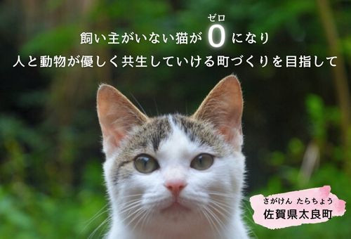 main_img