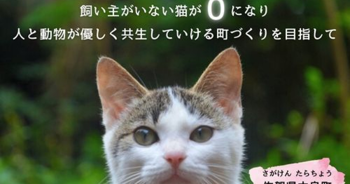飼い主がいない猫がゼロになり、人と動物が優しく共生していける町
