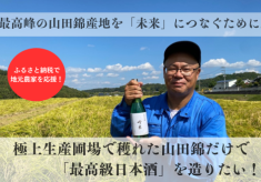 最高峰の山田錦産地を「未来」につなぐために。極上生産圃場で穫れた山田錦だけで最高級日本酒を造りたい！