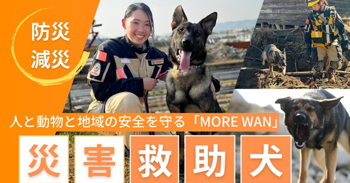 災害救助犬トレーニング&運用ハンドブック Amazon.co.jp: 災害救助犬トレーニング&運用ハンドブック (INSARAG