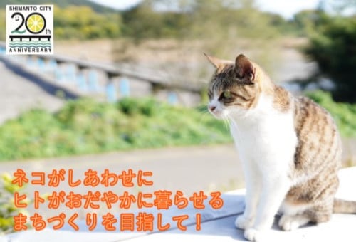 main_img