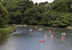 いわて盛岡の夏の風物詩を未来へつなげたい｜ゴムボート川下り大会応援プロジェクト｜