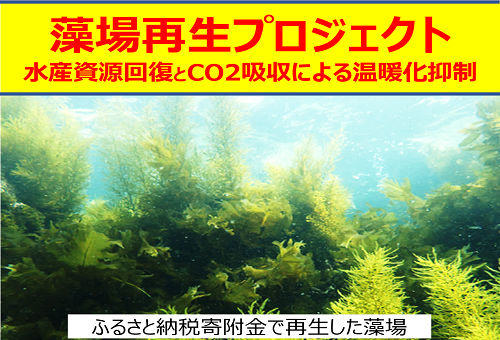 main_img