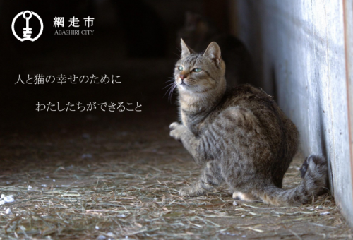 main_img