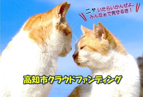 main_img