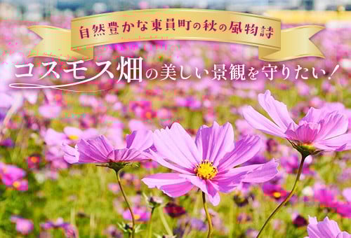 main_img