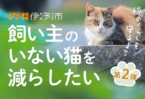 main_img