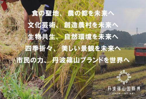 main_img
