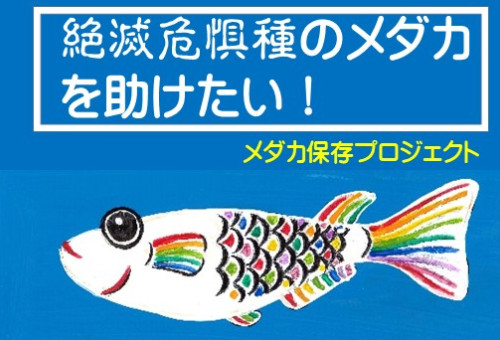 main_img