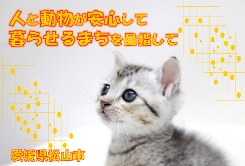 main_img