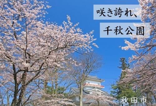 main_img