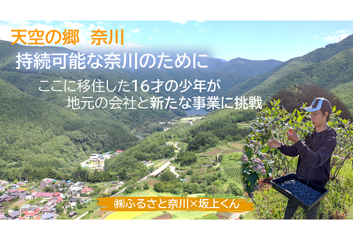main_img