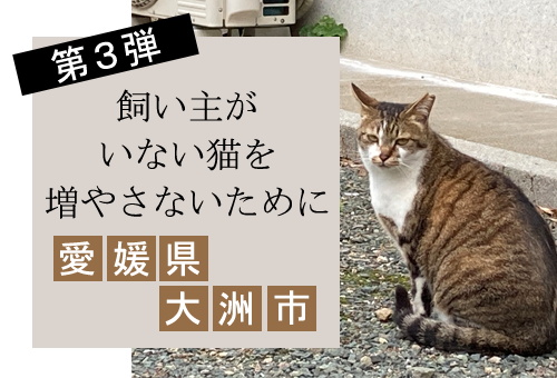 main_img