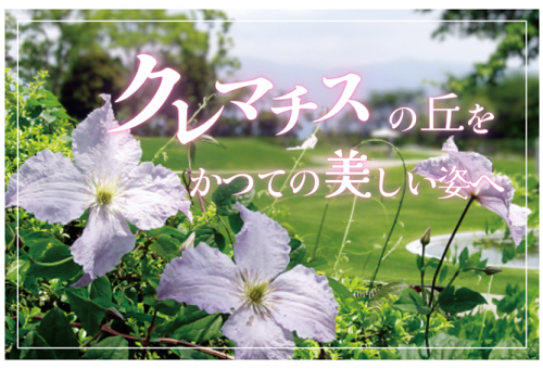 main_img
