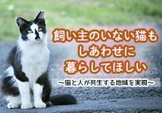 【第2弾】「飼い主のいない猫」の不妊去勢手術推進プロジェクト