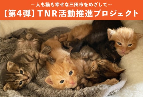 main_img