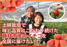 土耕栽培で味と品質にこだわり続けた藤枝市産のイチゴを全国に届けたい！
