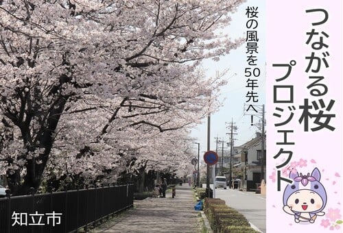 main_img